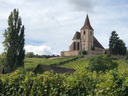 img_7852