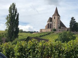 img_7853