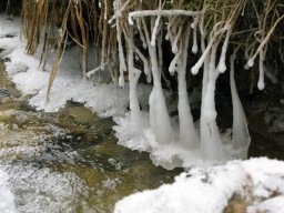 Neige à Ligsdorf